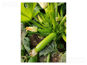 �G��һ̖-�����J�N��-��V�r(n��ng)�I(y��)