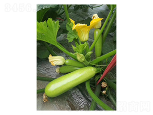 ����206-�����J�N��-��V�r(n��ng)�I(y��)