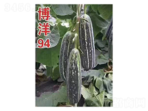 ����94-��ϷN��-��V�r(n��ng)�I(y��)