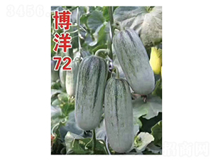 ����72-��ϷN��-��V�r(n��ng)�I(y��)