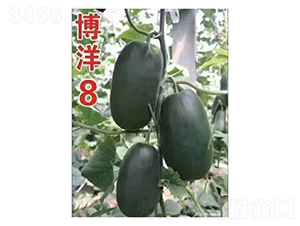 ����8-��ϷN��-��V�r(n��ng)�I(y��)