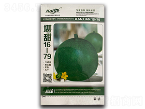 ����16-79-��ϷN��-��V�r(n��ng)�I(y��)