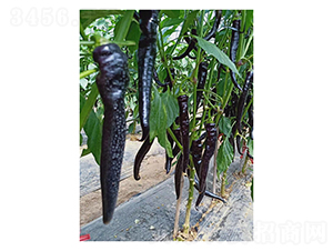 �ϴ�һ̖-�����N��-��V�r(n��ng)�I(y��)