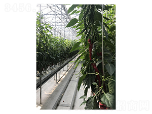 Ѹ�Y37-94-�����N��-��V�r(n��ng)�I(y��)