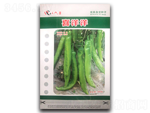 ϲ����-�����N��-��V�r(n��ng)�I(y��)