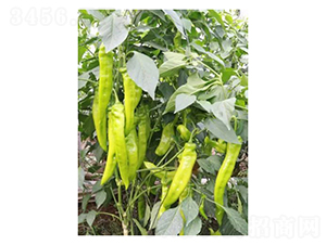 ����-�����N��-��V�r(n��ng)�I(y��)