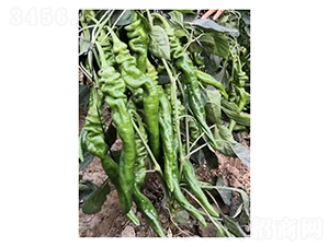 �k��6̖-�����N��-��V�r(n��ng)�I(y��)