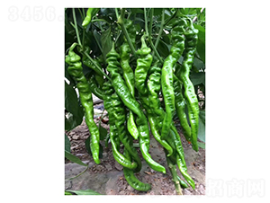 �]Դ-�����N��-��V�r(n��ng)�I(y��)