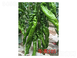 �A��105-�����N��-��V�r(n��ng)�I(y��)