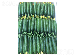 ����3966-ˮ���S�ϷN��-��V�r(n��ng)�I(y��)