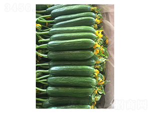 �S�{˹-ˮ���S�ϷN��-��V�r(n��ng)�I(y��)