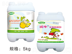 �ʿ���������̼���-�A��