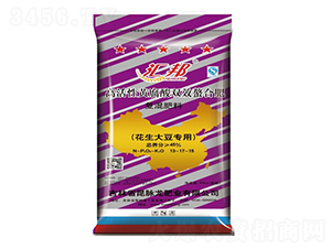 �����󶹌�(zhu��n)�Ï�(f��)�����13-17-15-�R��-���}���ʘI(y��)