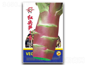 �t��Sһ̖-�n�S�N��-���؈@ˇ