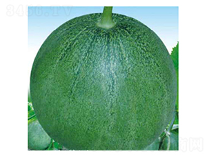 ���-��ϷN��-���؈@ˇ