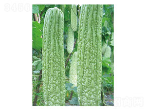 �����̖-��ϷN��-���؈@ˇ