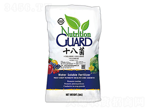 ʮ�˾�-���i����