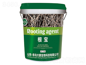 ����-���i����