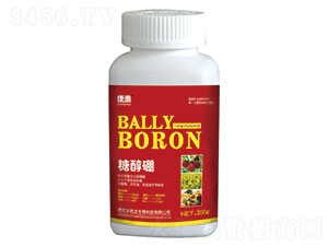 �Ǵ���-�ֵ���