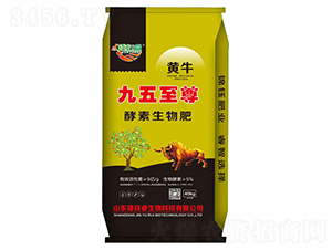 ����������������-�\��