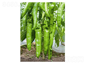 ����(l��)��̖(h��o)-�����N��-�֮���r(n��ng)�I(y��)