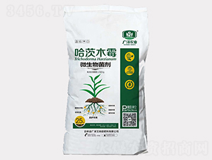 ����ľù΢�������-�V�ɰ�����