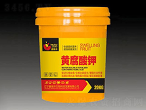 �S�����-�����S