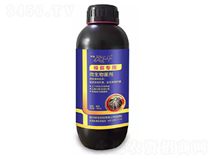 ��������΢�������-�����S-�G�ڿƼ�