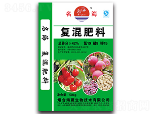 ��(f��)�����19-8-15-����-��������