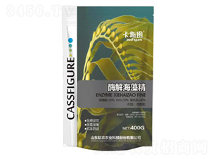 400gø�⺣�徫-��˹�D-���r(n��ng)�r(n��ng)�I(y��)