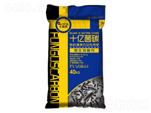 ʮ�|��̼΢�������-���r(n��ng)�r(n��ng)�I(y��)