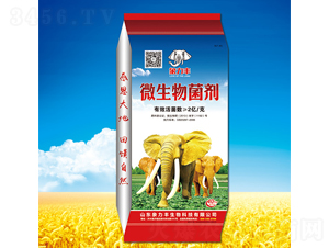 2�|΢�������-�����S