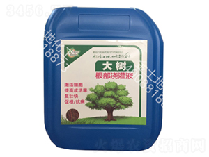 ����������Һ-������