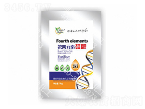 ����Ԫ�ع��-������