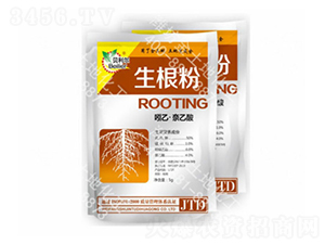 5g������-������