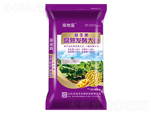 ����l(f��)�ʹ�-���Y�A��-����S