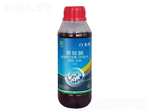 ���@�ˮ��-�����x-���ɽ�