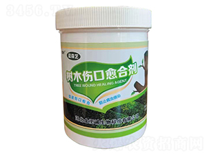 ��ľ�������τ�-�{ɭˇ-�����\