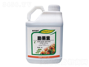 ����؛_ʩ��-������˹