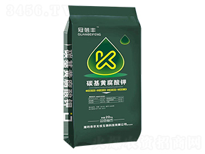 ̼���S�����-�����S-�r(n��ng)�o(w��)�n