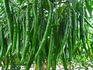 �����N��-��ϲ�r(n��ng)�I(y��)