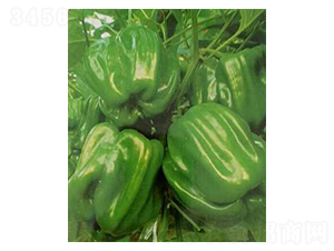 �������N��-��ϲ�r(n��ng)�I(y��)