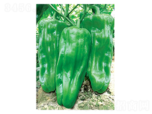 �����N��-��ϲ�r(n��ng)�I(y��)