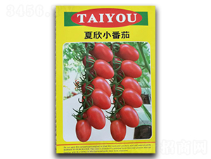 ����-���ҷ��ѷN��-��ϲ�r(n��ng)�I(y��)