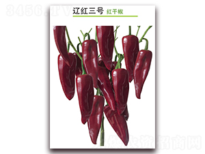 �|�t��̖(h��o)-�t�ɽ��N��-������