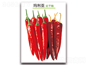 ������-�t�ɽ��N��-������