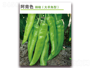 ����ɫ-�����N��-������