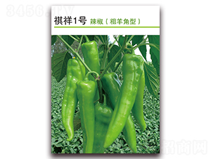 ����1̖(h��o)-�����N��-������