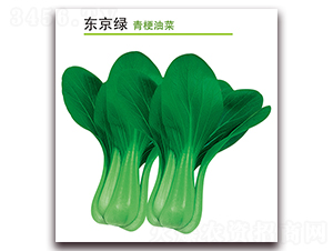 �|���G-�๣�˷N��-������