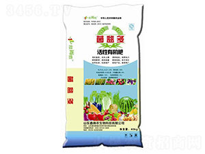 ���������ЙC(j��)��-���Ѓz